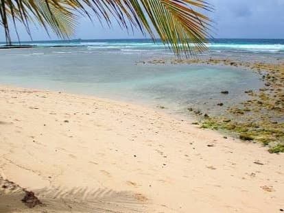 Drill Hall Beach