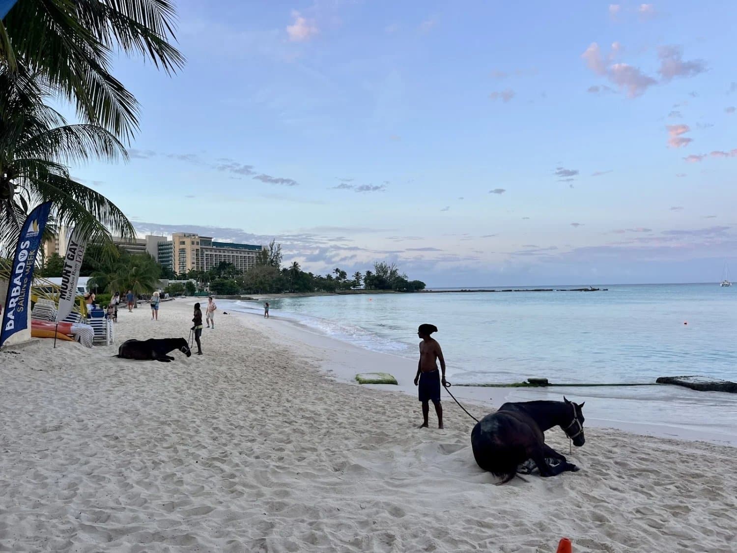 Pebbles Beach