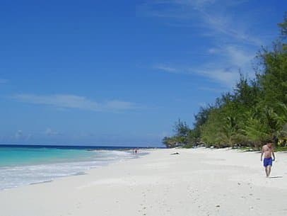Maxwell Beach
