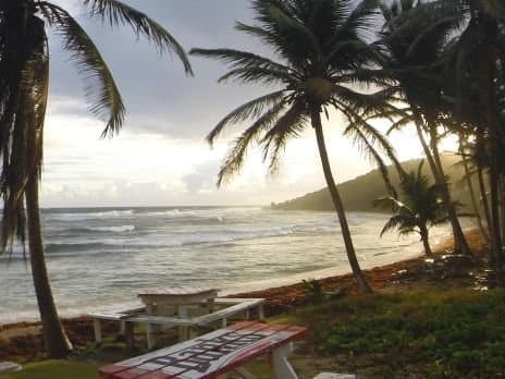 Martin's Bay Beach