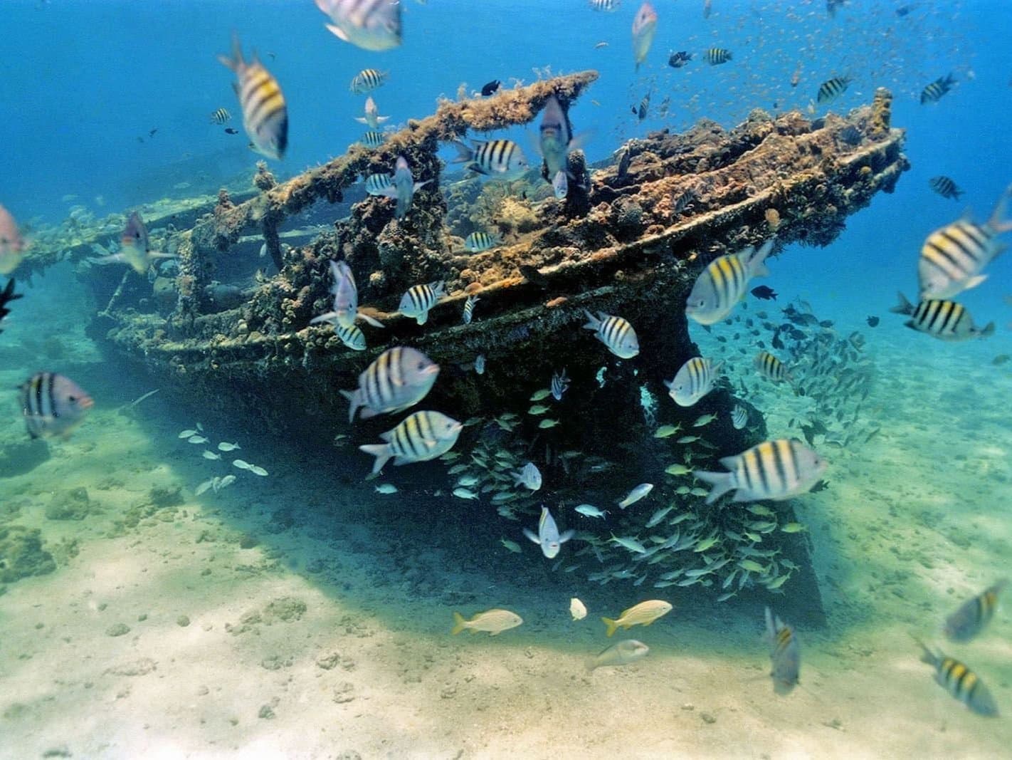 Carlisle Bay