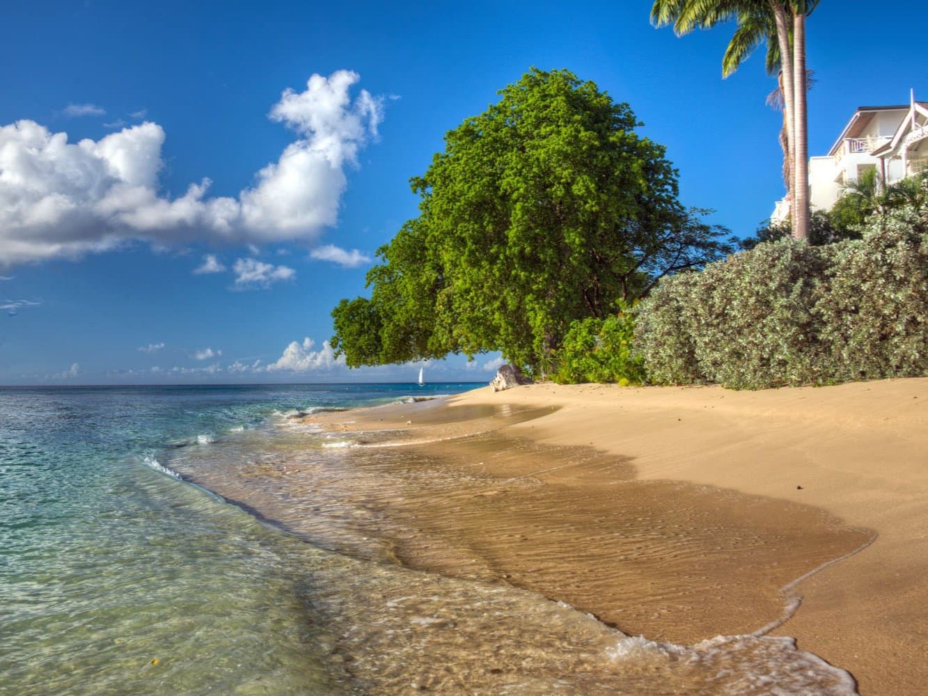 Paynes Bay Beach